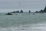 PICTURES/Rialto Beach/t_Flying Gulls1.JPG